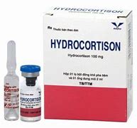 Giá Hydrocortisone Tiêm