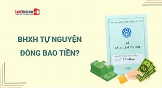 Mức Đóng Bảo Hiểm Tự Nguyện 2024