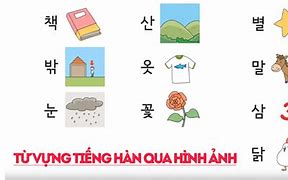 Từ Vựng Tiếng Hàn Về Cửa Hàng Tiện Lợi